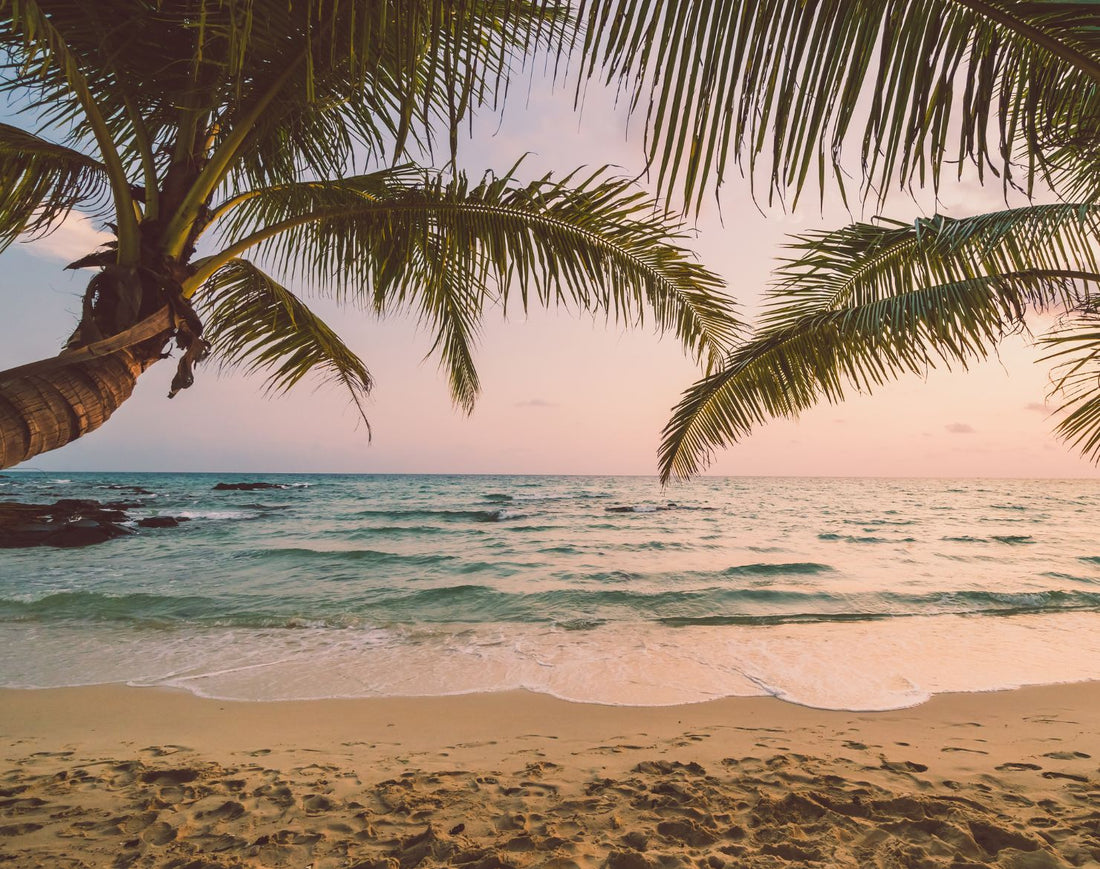 How Coastal Living Inspires Timeless Handcrafted Bags And Accessories